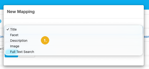 mapping-type-pulldown-open.png